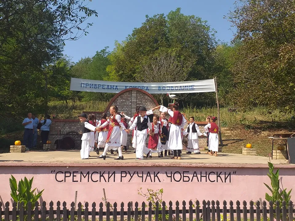 Јубиларни 10. Сремски ручак чобански у Бачинцима