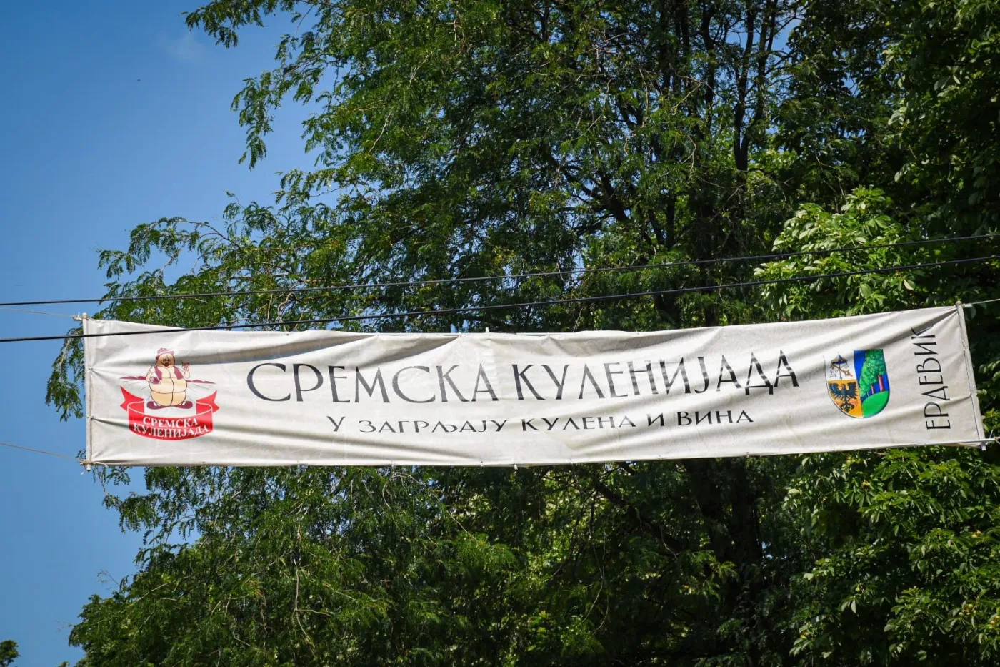 25. Сремска куленијада у Ердевику