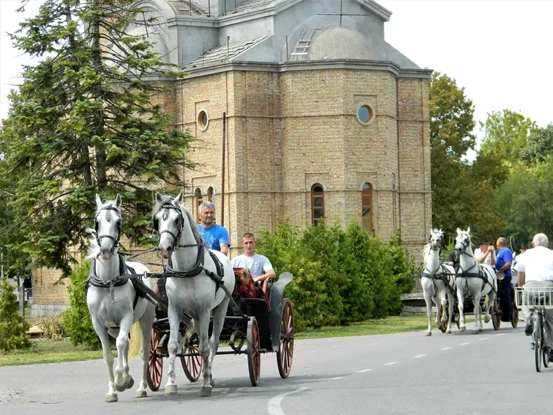 6. Ревија парадних запрега и фијакеријада у Шиду
